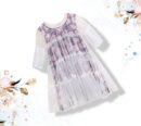 Sheer  Tiered A-line Dress