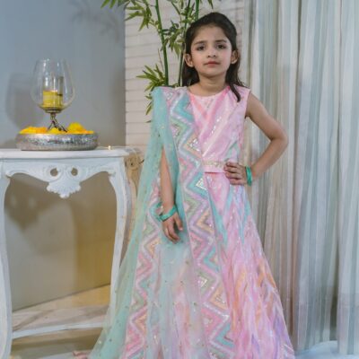 Pastel Pink Lehnga Choli