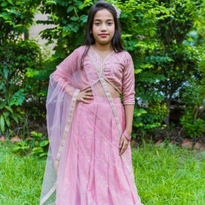 Embroidered Lehnga  Choli Set