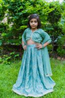 Embroidered Lehnga Choli Set