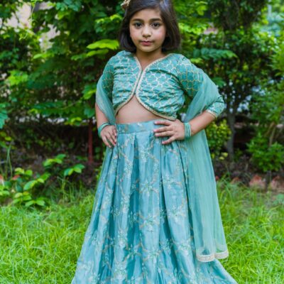 Embroidered Lehnga Choli Set