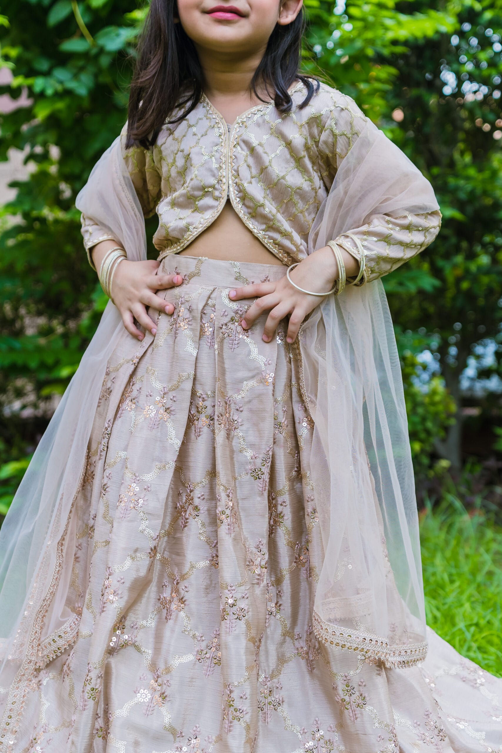 Embroidered Lehnga Choli Set - Image 3