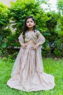 Embroidered Lehnga Choli Set