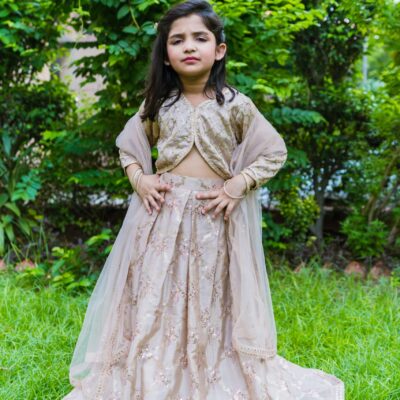 Embroidered Lehnga Choli Set